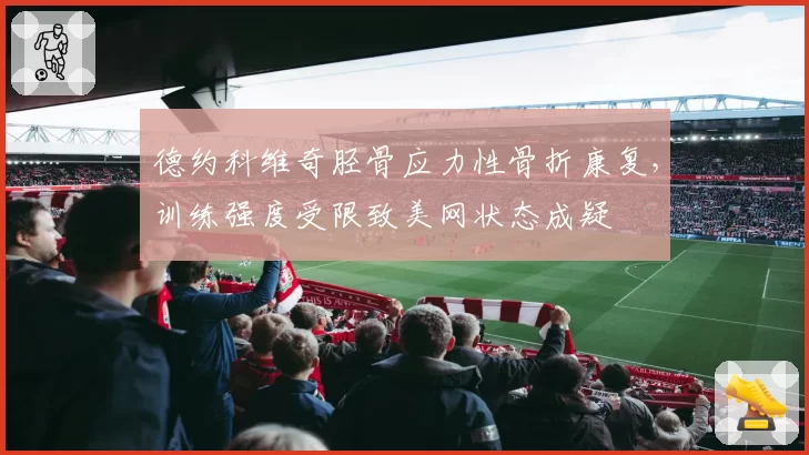 德约科维奇胫骨应力性骨折康复,训练强度受限致美网状态成疑