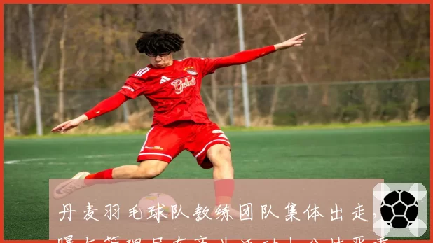 丹麦羽毛球队教练团队集体出走,曝与管理层在商业活动上分歧严重