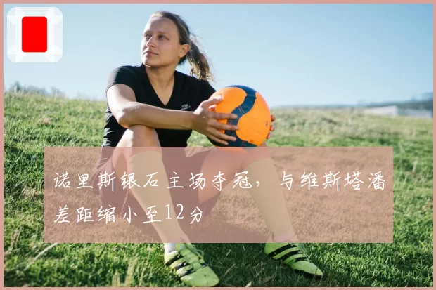 诺里斯银石主场夺冠，与维斯塔潘差距缩小至12分