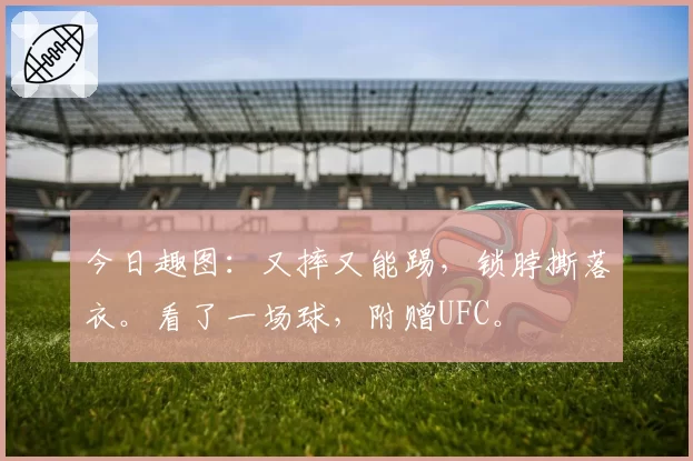 今日趣图:又摔又能踢,锁脖撕落衣。看了一场球,附赠UFC。