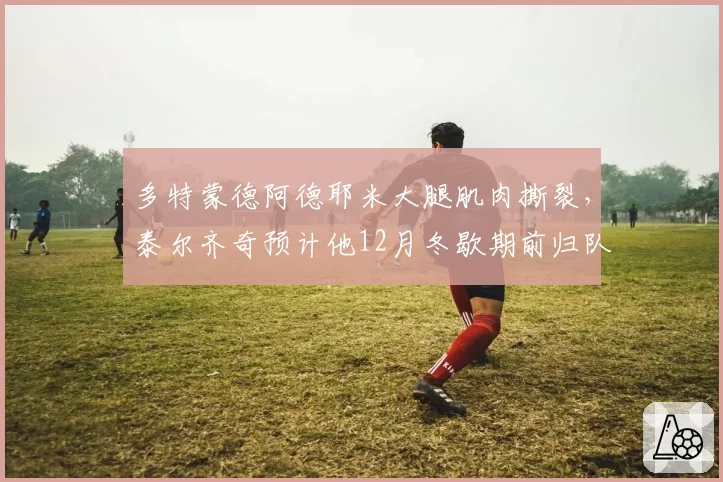 多特蒙德阿德耶米大腿肌肉撕裂,泰尔齐奇预计他12月冬歇期前归队